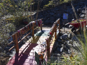 Lake Lure Flowering Bridge