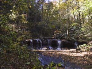 Pearsons Falls-NC