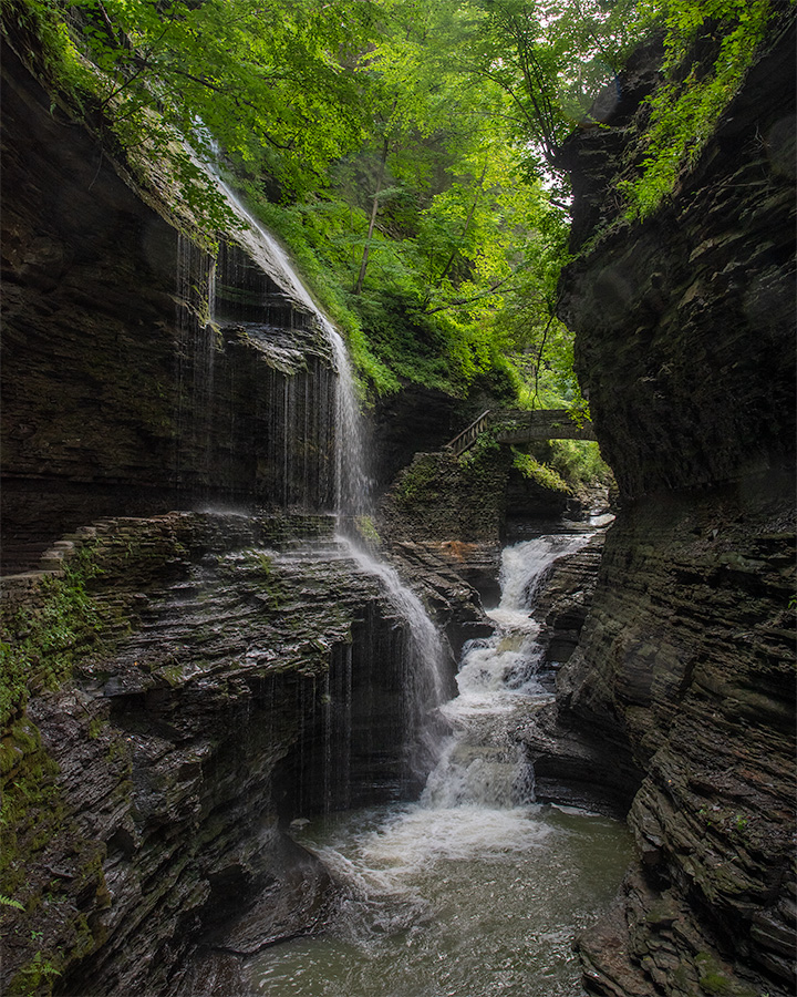 Watkins Glen