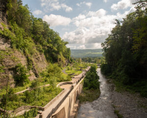 Watkins Glen