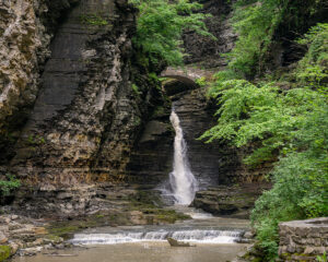 Watkins Glen