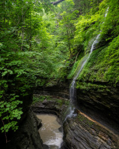 Watkins Glen